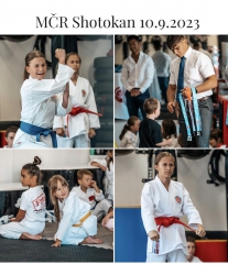 Mistrovství České republiky