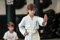 Karate Kid Cup