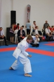 Úspěšné Mistrovství Evropy SHOTOKAN